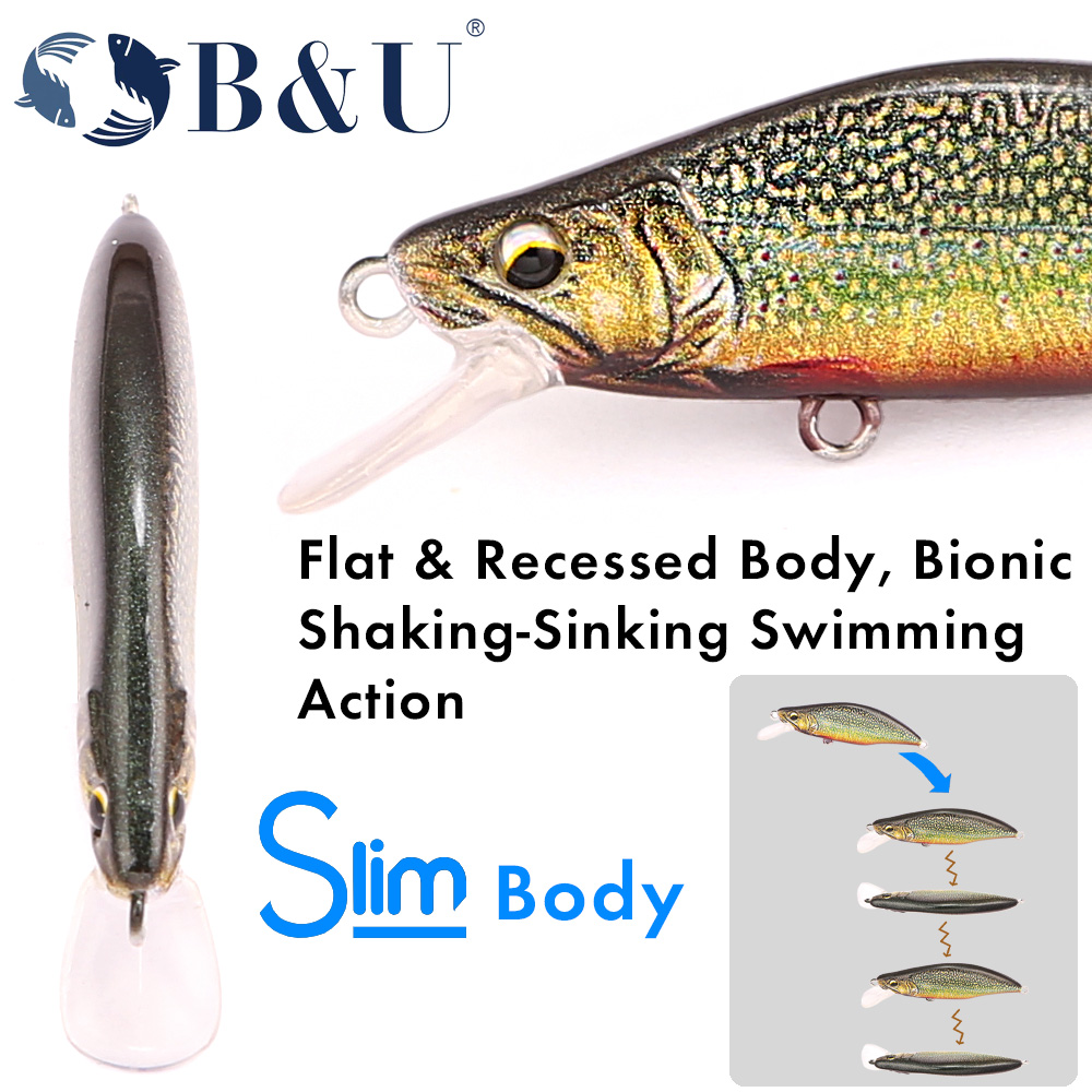 B&U Trout Pattern Hard Bait Si - مراجعة Fishing Hook Assortment وسعره